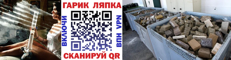 где можно купить Новосиль ГАШ индика сатива