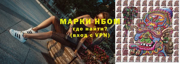 крисы Беслан