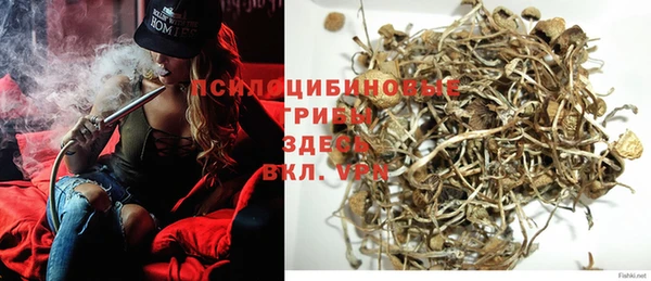 дживик Куйбышев