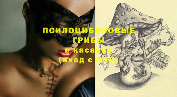 хмурый Краснослободск