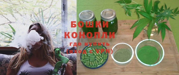 молекула духа Красноперекопск