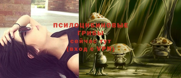 дживик Куйбышев