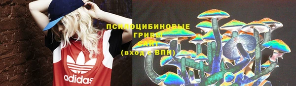 хмурый Краснослободск
